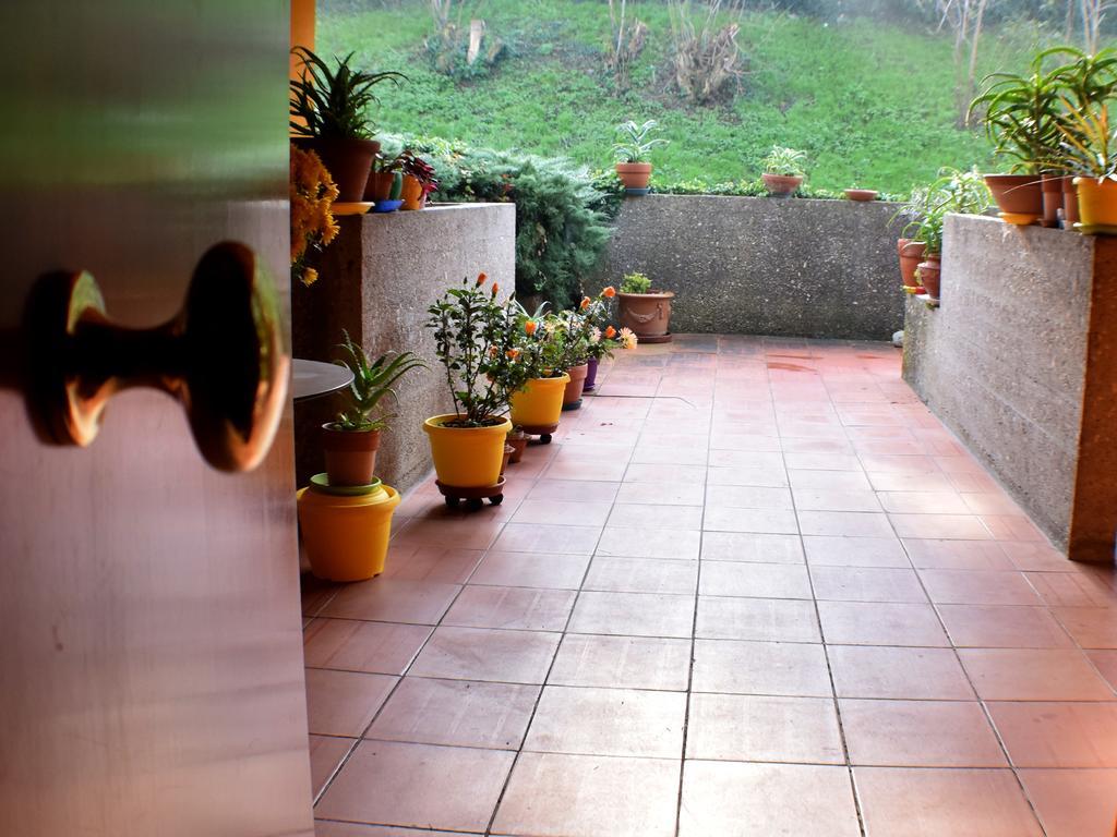 Tarcisio B&B Tavullia Bilik gambar