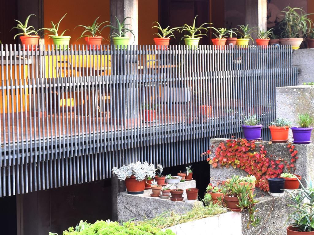 Tarcisio B&B Tavullia Luaran gambar